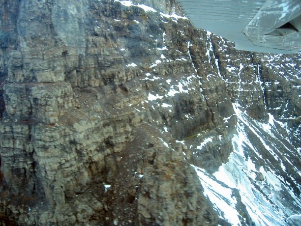 hreindyr-006