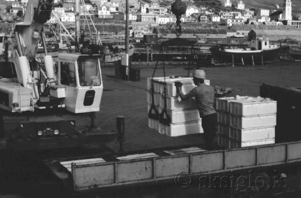 13-76-0068-24 (2)