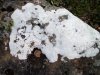 DSCF4411