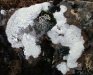 DSCF4490