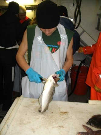 Skolaskipid030