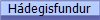 H�degisfundur